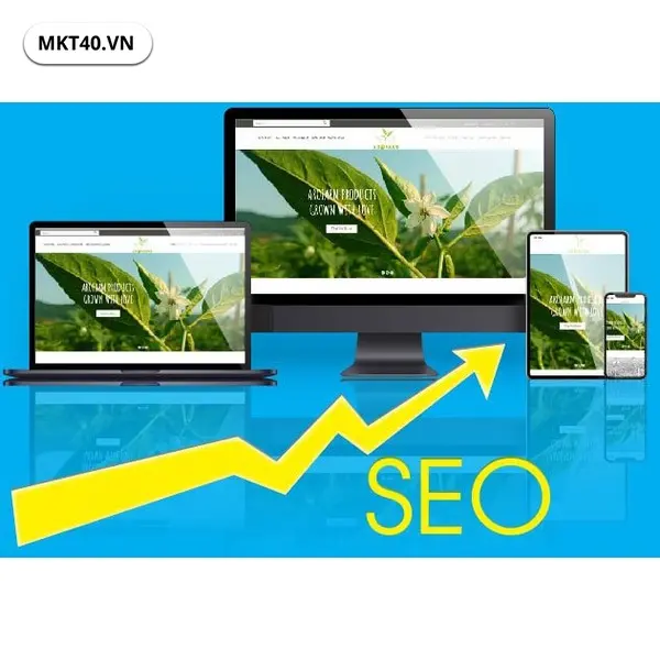 Website chuẩn SEO c&oacute; khả năng mang lại lượng truy cập ổn định v&agrave; tối ưu chi ph&iacute; marketing